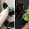 picture of biolage gel and matrix gel