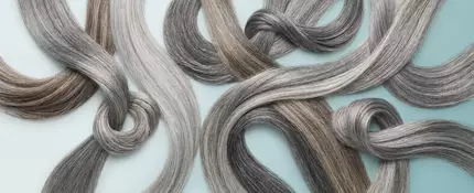 An image of “swatches” of gray hair. Different types of coloring and blends.