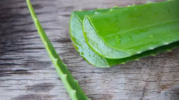 photo of aloe vera for hair