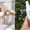 mizani 25 miracle milk and biolage all-in-one coconut infusion