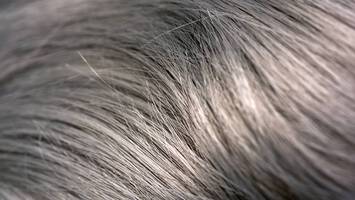 photo of hair with grey balayage