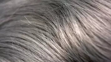 photo of hair with grey balayage