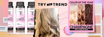 Hair.com 2020 Year In Review