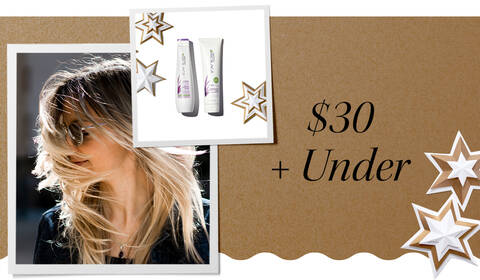 Holiday Gift Ideas for $30 and Under