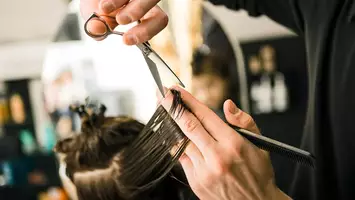 salon spotlight lunatic fringe