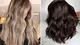 Women with shiny colored hair