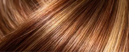 Hair bonds are vital in keeping your strands strong and healthy. Discover what hair bonds are and how to protect and repair them.