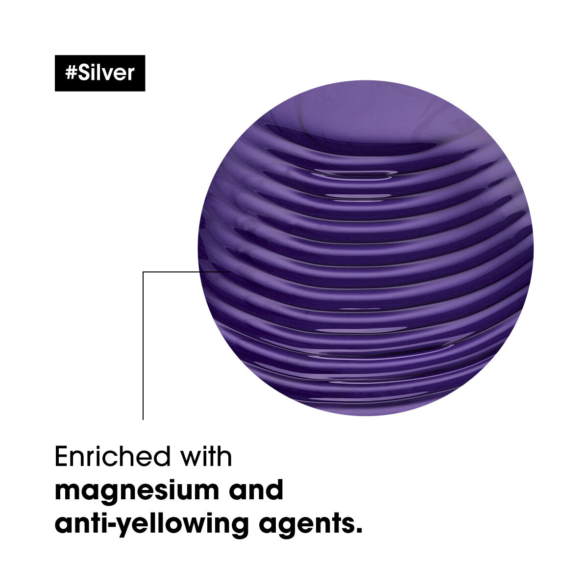 Serie Expert Silver Purple Shampoo