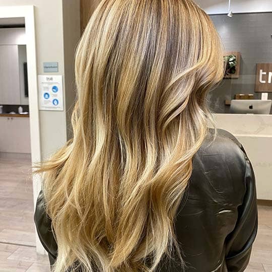 10 Blonde With Brown Highlights Formulas