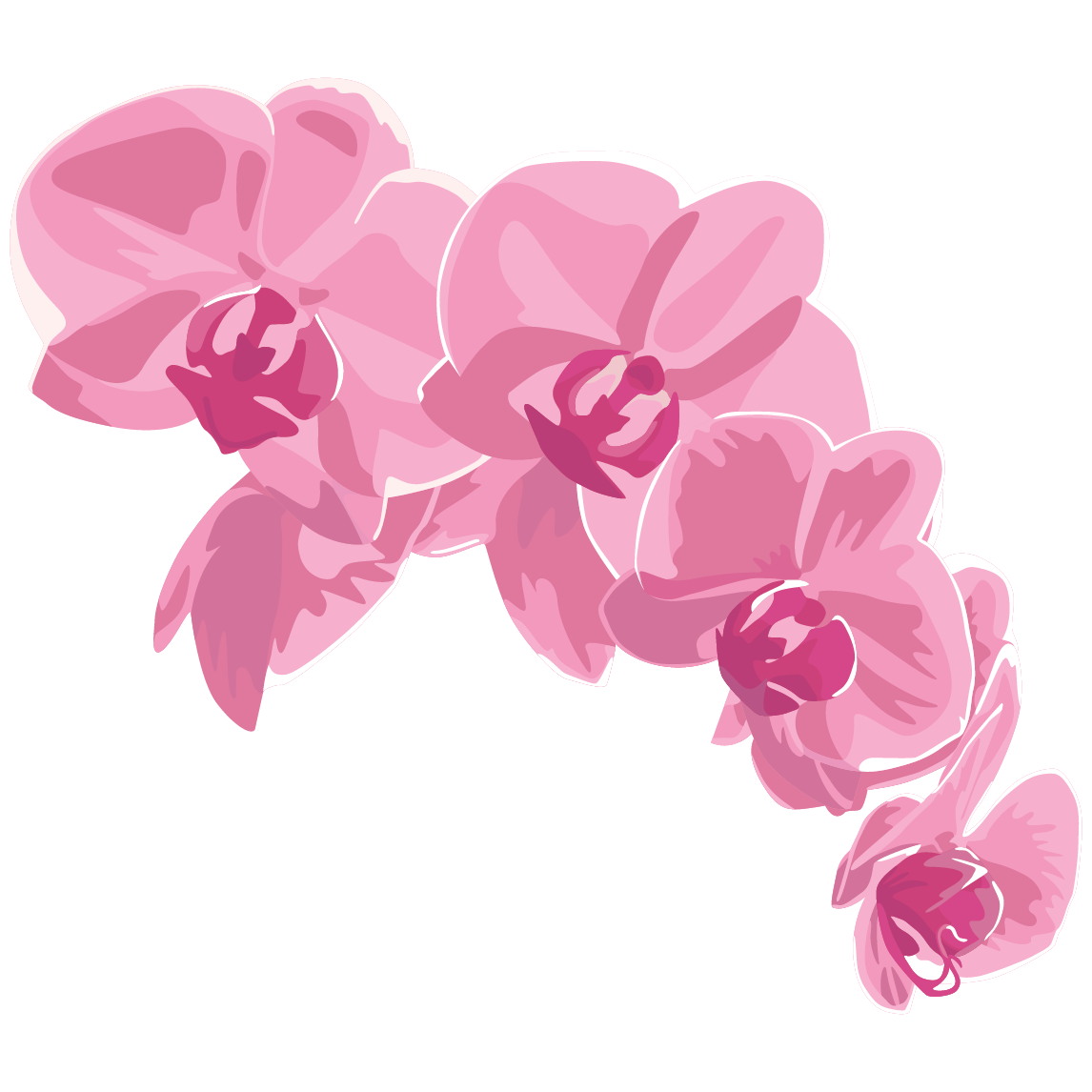 wedding quiz orchid