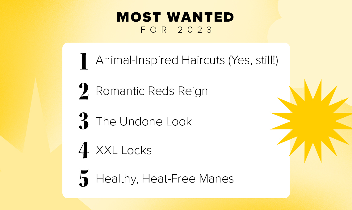 Hair.com Year In Review for 2022