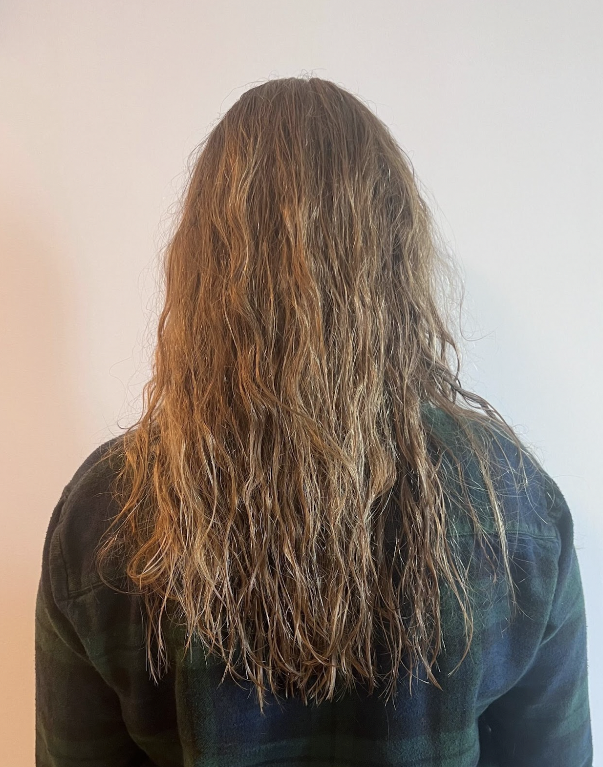 loreal-professionnel-metal-detox-review-before
