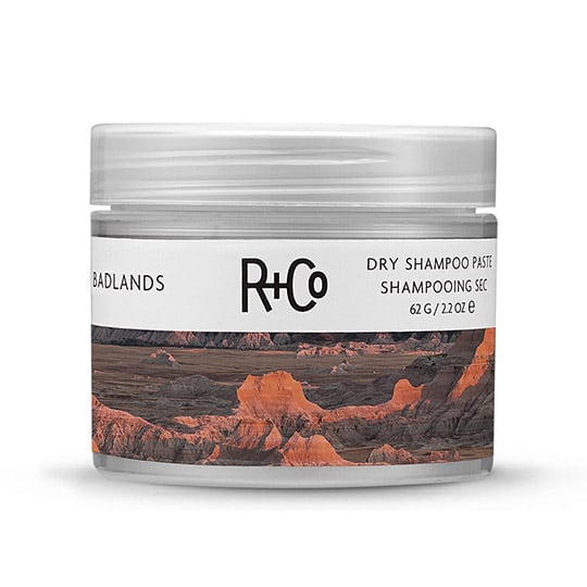 brochure analogi Ray Dry Shampoo Paste: Everything You Need To Know Before Trying | Hair.com By  L'Oréal