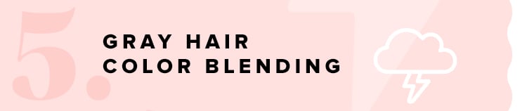 Our Favorite Pro Stylists Say That Gray Hair Color Blending Will be 2024's biggest hair trends