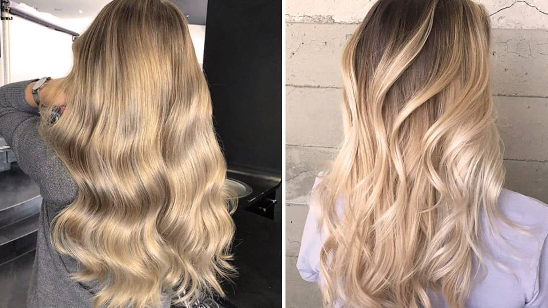 Champagne blonde hair dye sales