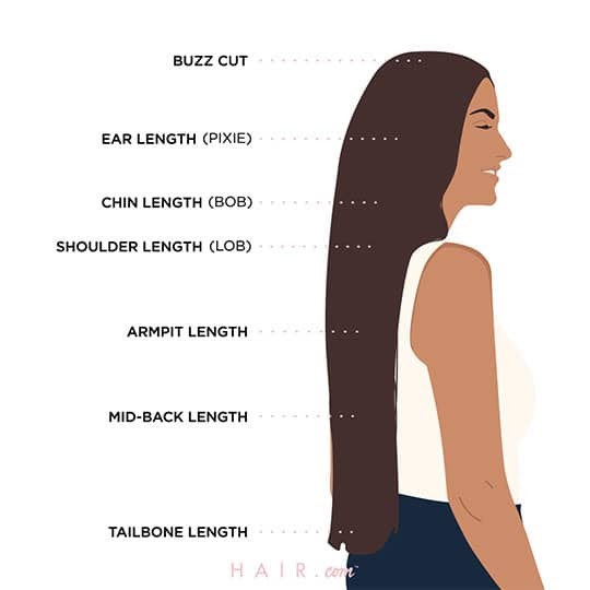 Hair Length Chart Every Single Cut Length You Need To Know Hair 