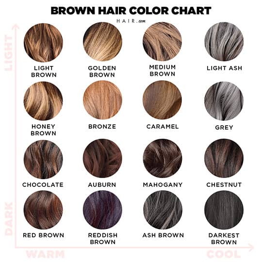 Shades Brown Hair Color Chart Shades Brown Hair Color Chart